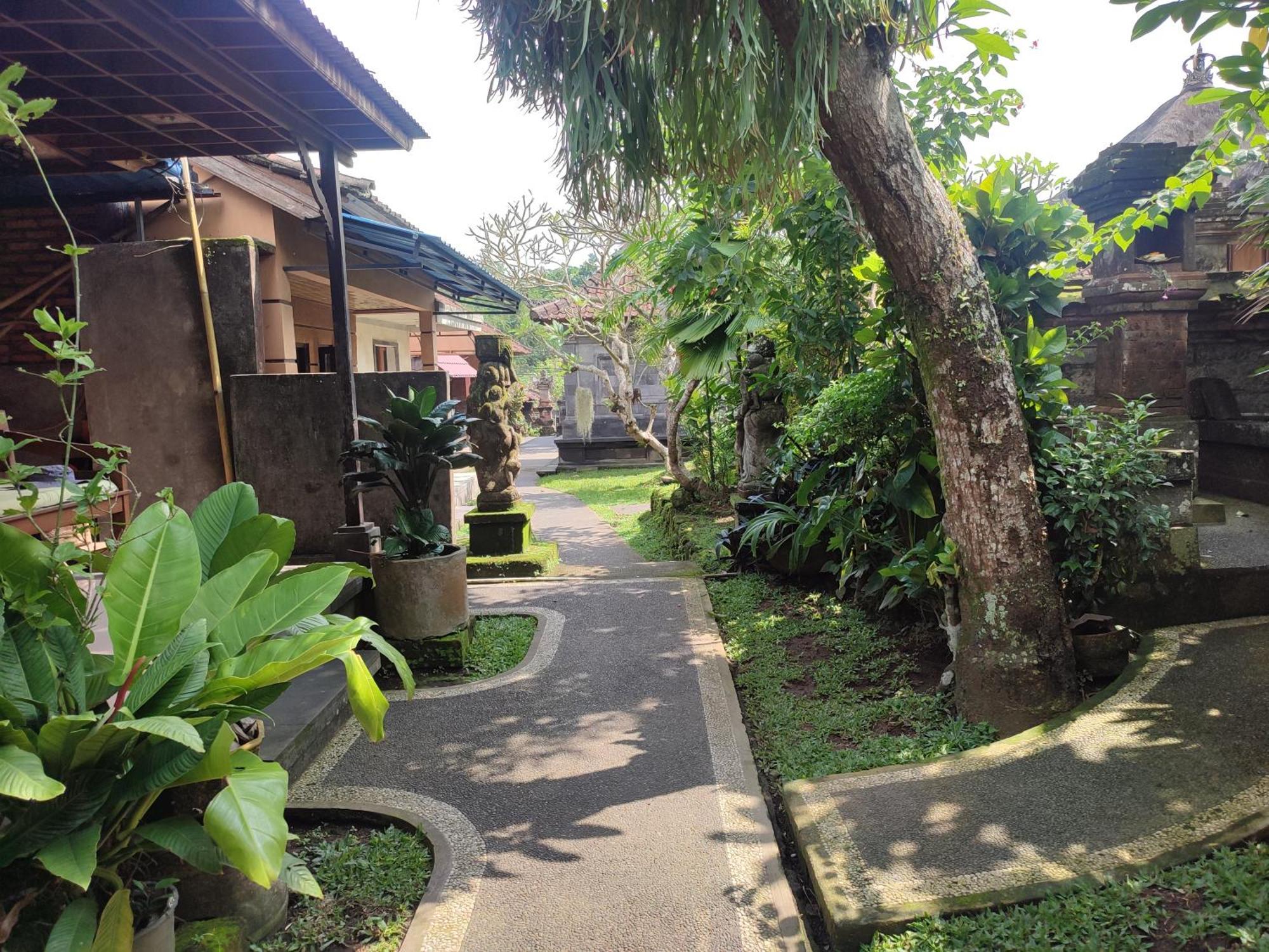 Bhuana Shanti Homestay أوبود الغرفة الصورة