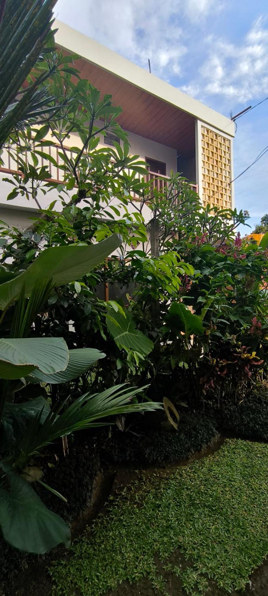 Bhuana Shanti Homestay أوبود المظهر الخارجي الصورة